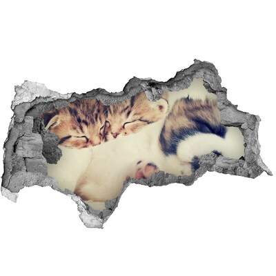 Sticker mural effet trou 3d Deux chats et un chien béton