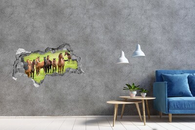 Sticker trou dans le mur Troupeau de chevaux dans un pré béton