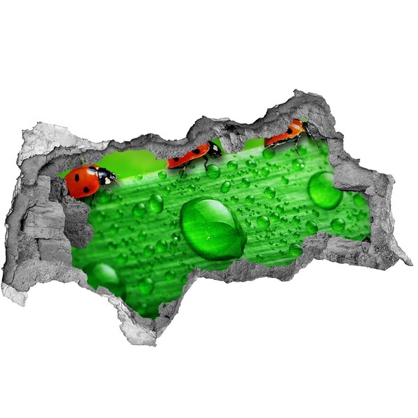 Autocollant mural trou Une goutte de rosée sur une feuille