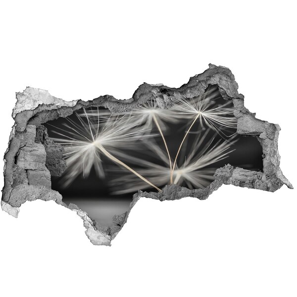 Autocollant à effet 3d trou Fleurs de pissenlit dans le béton