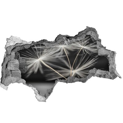 Autocollant à effet 3d trou Fleurs de pissenlit dans le béton