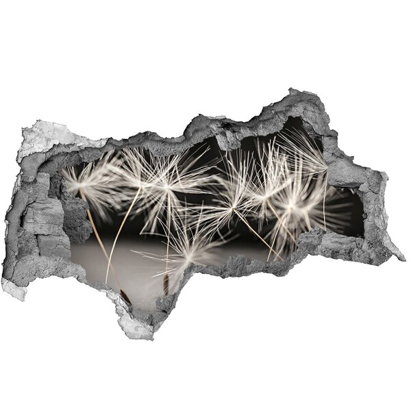 Autocollant mural trou Rêve de pissenlit