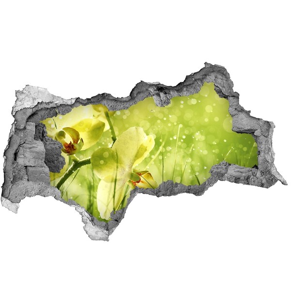 Autocollant à effet 3d trou Une oasis florale dans la verdure