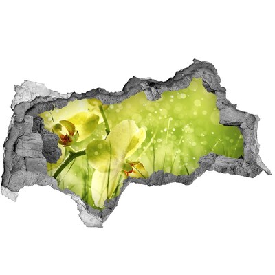 Autocollant à effet 3d trou Une oasis florale dans la verdure