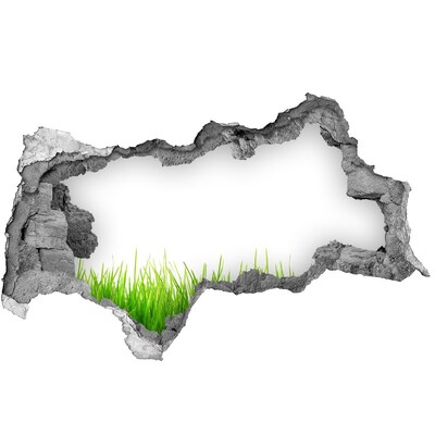 Autocollant à effet 3d trou Une prairie verdoyante derrière le mur