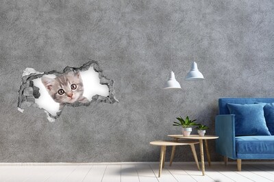 Sticker trou dans le mur Chaton dans un trou dans le mur
