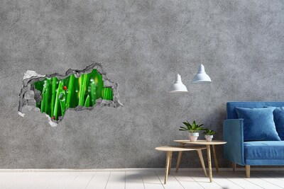 Sticker mural effet trou 3d Une goutte de rosée sur l'herbe avec une coccinelle