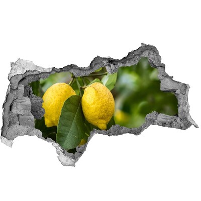 Autocollant à effet 3d trou Citrons sur l'arbre béton