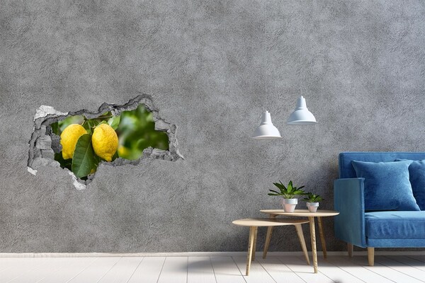 Autocollant à effet 3d trou Jardin de citronniers derrière le mur