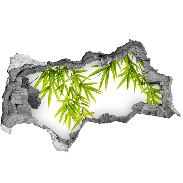 Autocollant à effet 3d trou Du bambou vert à travers un trou dans le mur