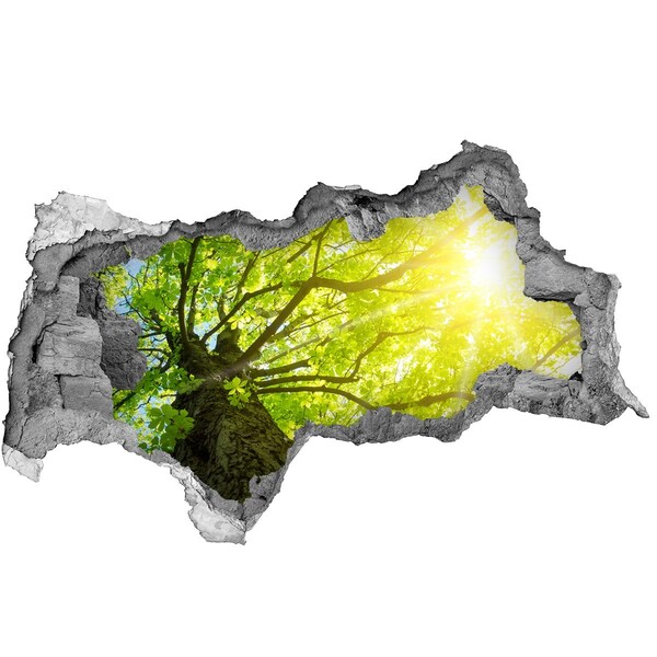 Autocollant mural trou Forêt verte sous les rayons du soleil