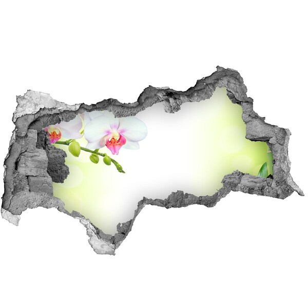 Sticker trou dans le mur Fleurs d'orchidées dans le jardin de bambous