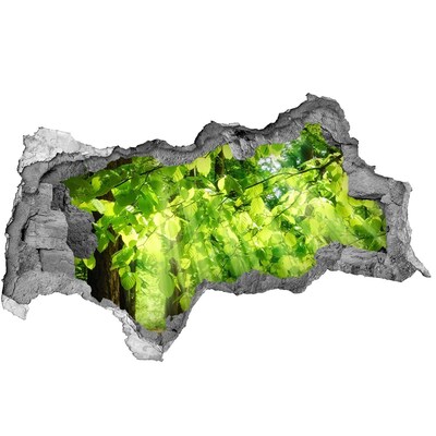 Autocollant à effet 3d trou Forêt verte sous les rayons du soleil