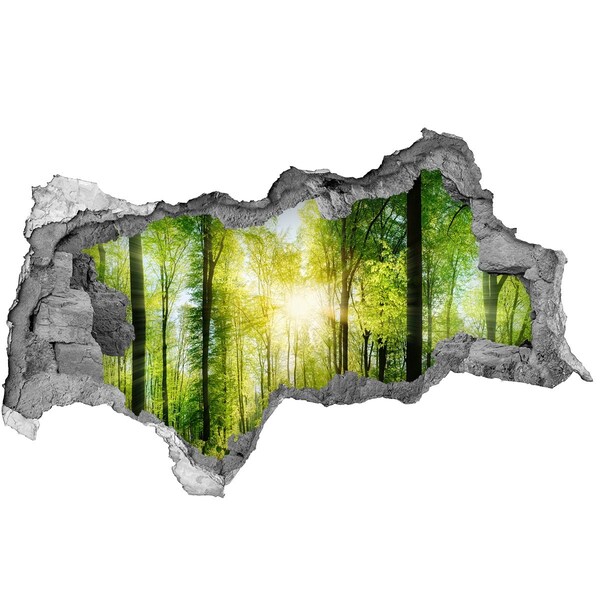 Autocollant mural trou Forêt au soleil béton