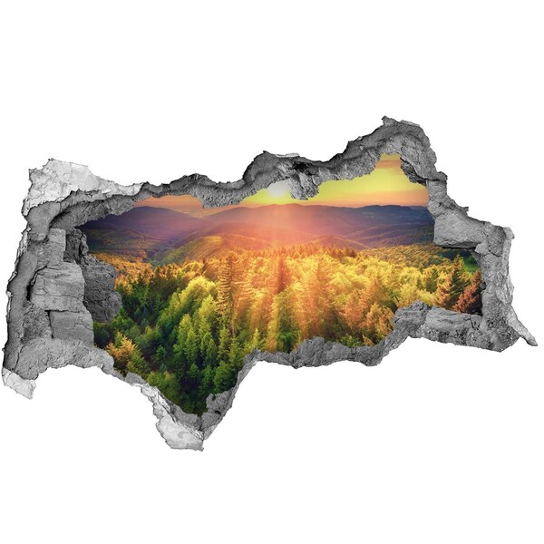 Sticker mural effet trou 3d Forêt au coucher du soleil béton