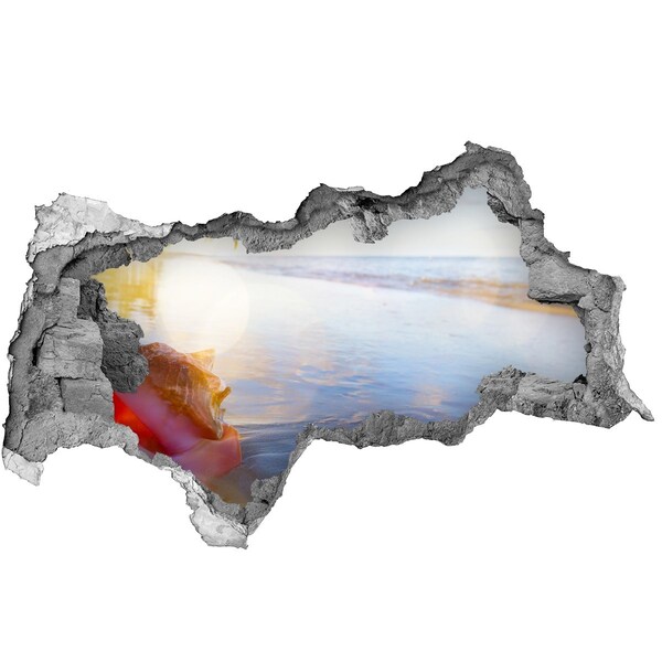 Autocollant mural trou Plage tropicale avec des coquillages