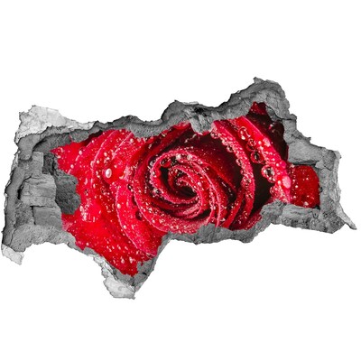 Autocollant à effet 3d trou Gouttes d'eau sur une rose béton