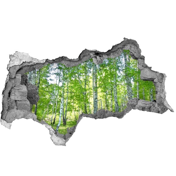 Autocollant à effet 3d trou Forêt verte dans un trou dans le mur