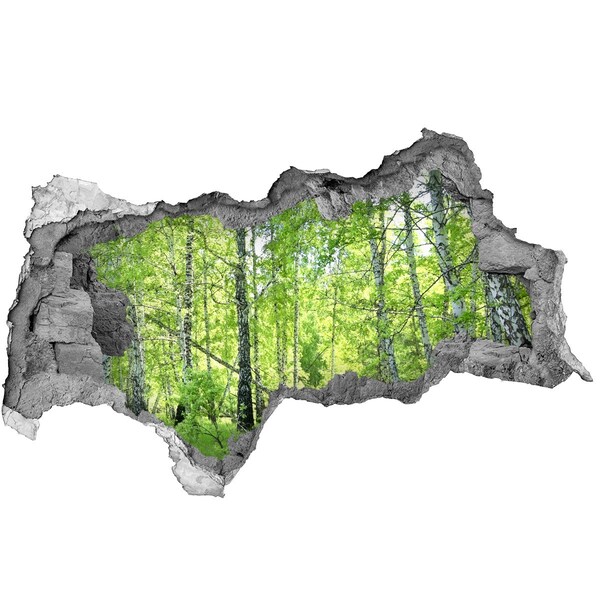 Autocollant mural trou Forêt verte sous le soleil