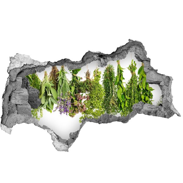 Autocollant mural trou oasis de verdure avec des herbes aromatiques