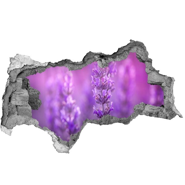 Sticker mural effet trou 3d Fleurs de lavande à la lumière du matin