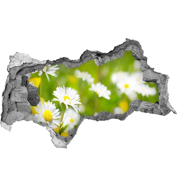 Sticker trou dans le mur Un paradis floral derrière les murs