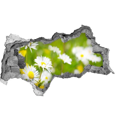 Sticker trou dans le mur Un paradis floral derrière les murs