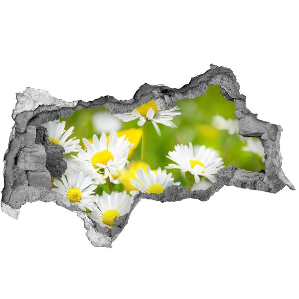 Autocollant mural trou Fleurs dans la prairie