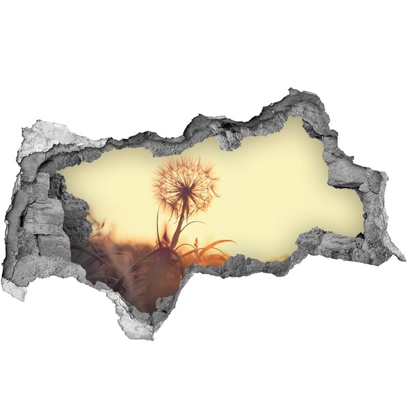 Autocollant à effet 3d trou Une fleur dans les rayons du soleil