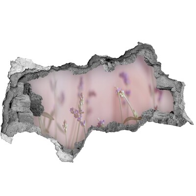 Sticker trou dans le mur prairie fleurie derrière le mur