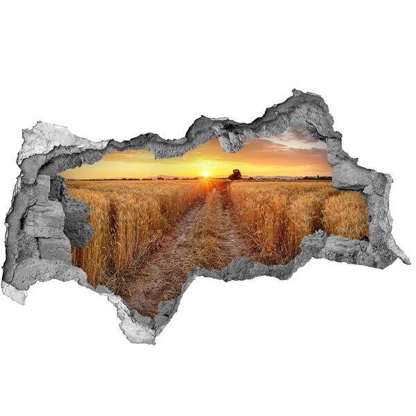 Sticker mural effet trou 3d Coucher de soleil doré sur un champ de céréales