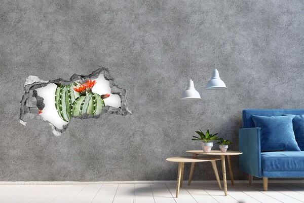 Autocollant mural trou Un cactus avec une fleur dans un trou dans le mur