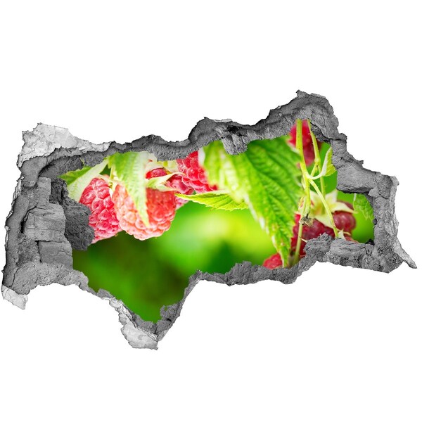 Autocollant à effet 3d trou Des framboises dans le jardin