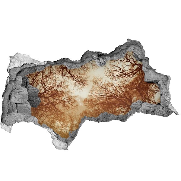 Sticker mural effet trou 3d Reflet d'arbres dans un mur en ruine