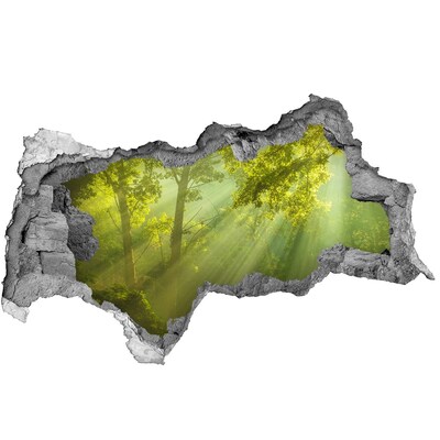 Sticker mural effet trou 3d Forêt verte baignée de soleil