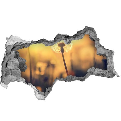 Sticker trou dans le mur Fleur de pissenlit sous les rayons du soleil