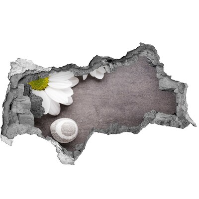 Sticker trou dans le mur Un rêve floral en béton