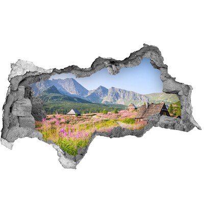 Sticker mural effet trou 3d Une clairière de montagne en fleurs
