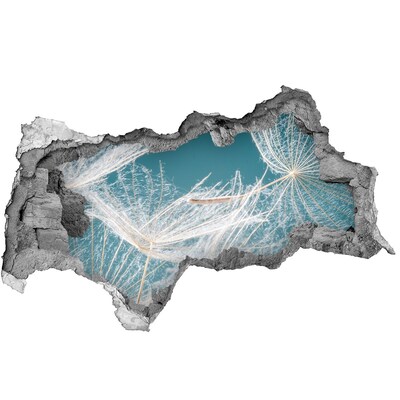 Sticker trou dans le mur Rêves de fleurs derrière le mur