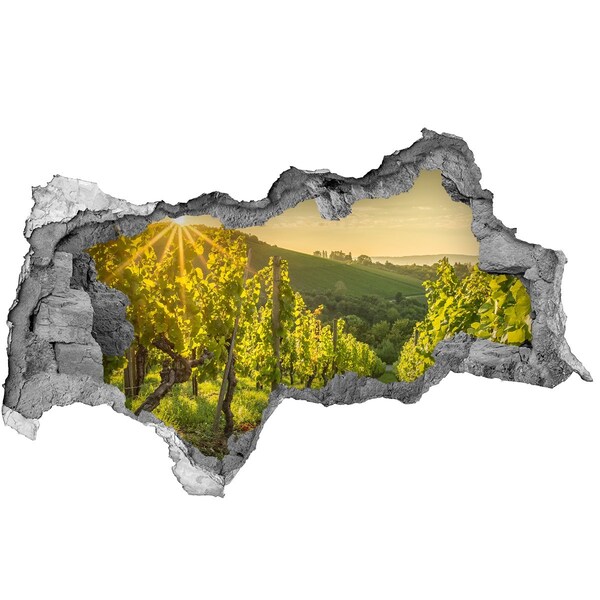 Sticker mural effet trou 3d Vignobles au soleil