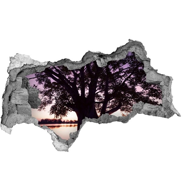 Autocollant à effet 3d trou Coucher de soleil derrière l'arbre