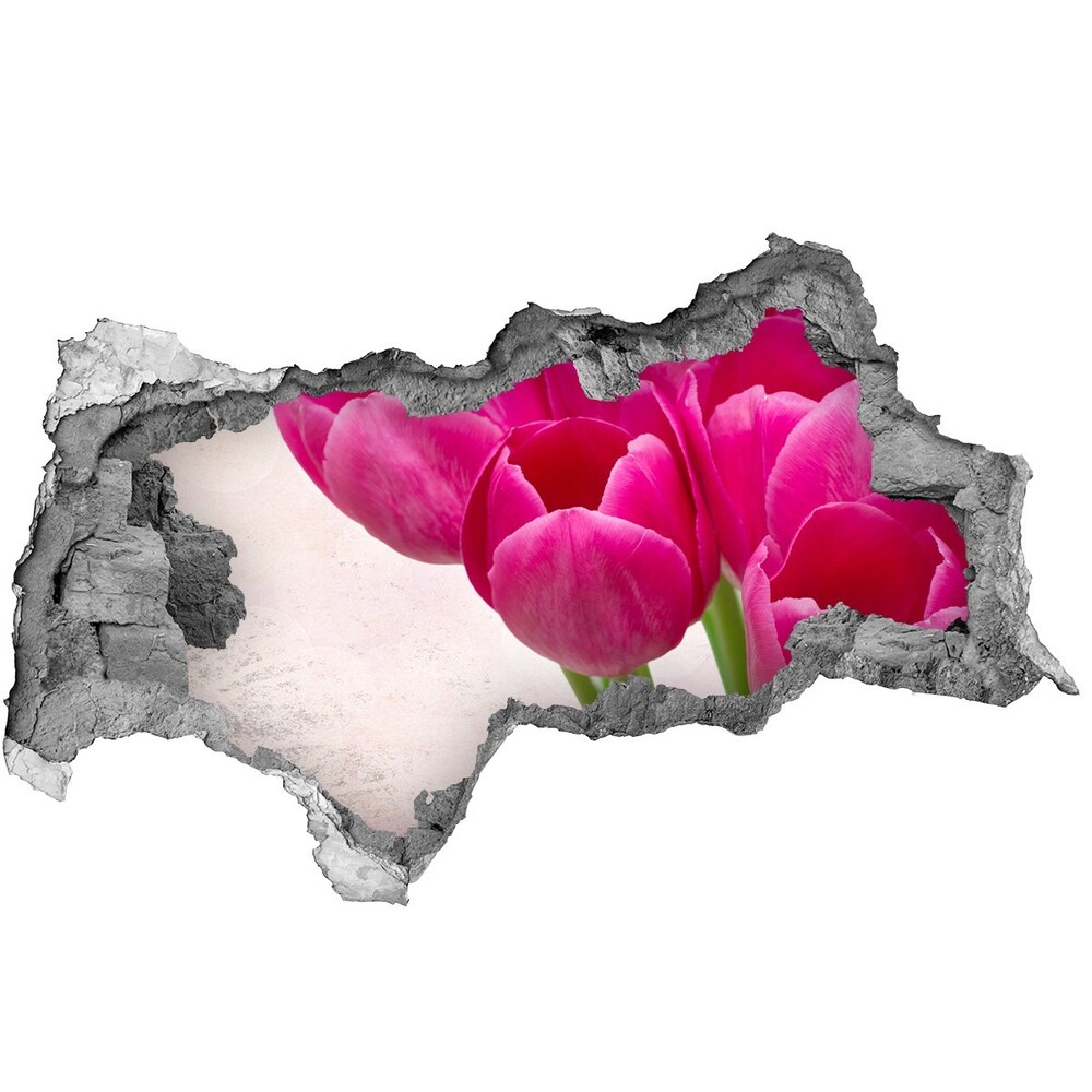 Sticker mural effet trou 3d Tulipes roses béton