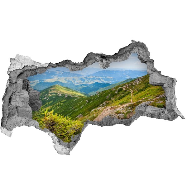 Autocollant mural trou Paysage de montagne avec un chemin