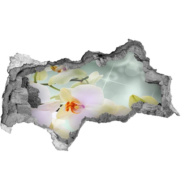 Autocollant mural trou Fleurs en béton