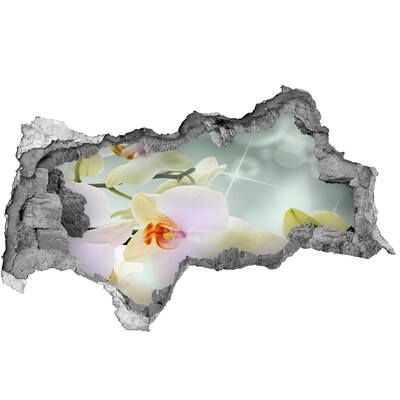 Autocollant mural trou Fleurs en béton