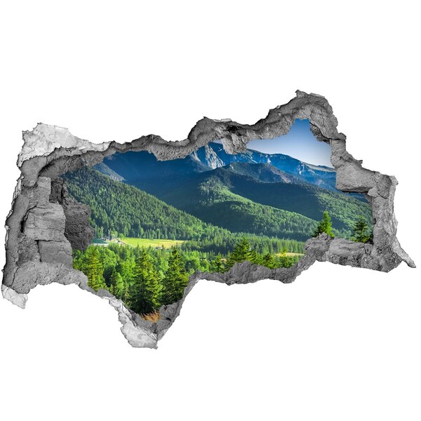 Sticker mural effet trou 3d Paysage de montagne à travers un trou dans le mur