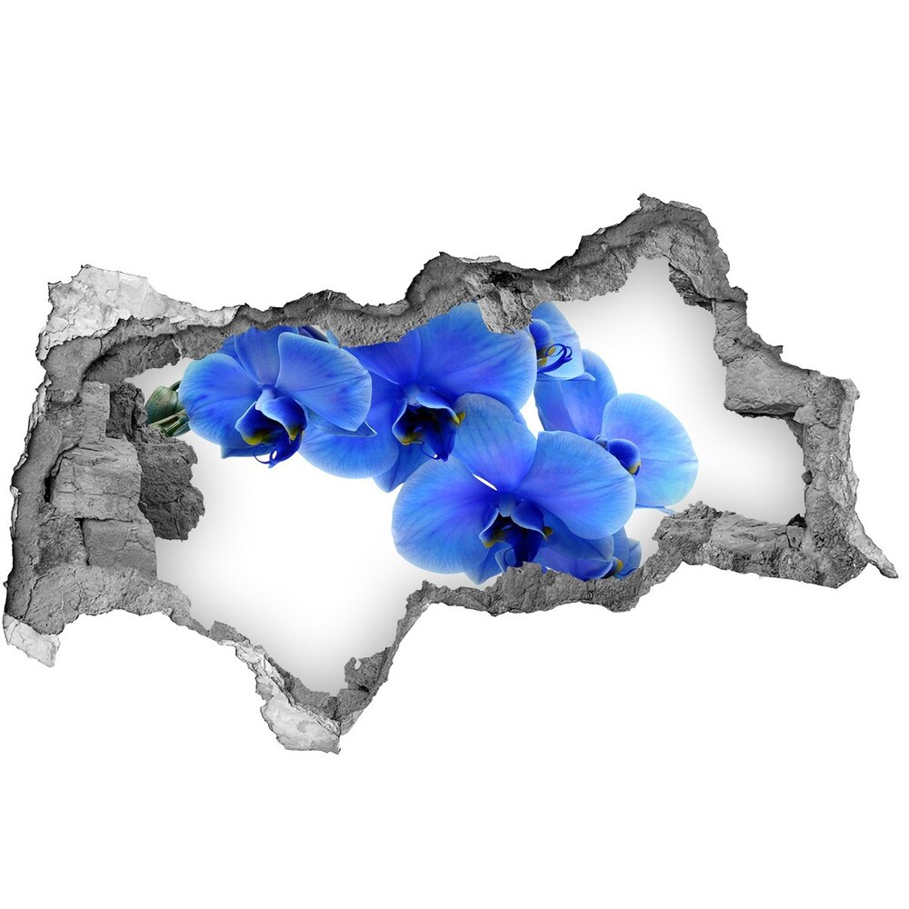 Autocollant à effet 3d trou Orchidée bleue béton