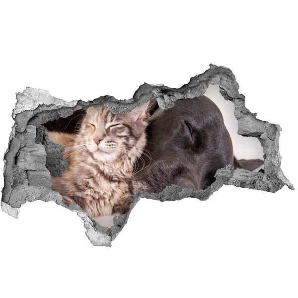 Sticker trou dans le mur Un doux moment d'amitié