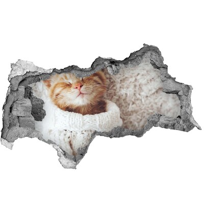 Sticker trou dans le mur Chat mignon en pull