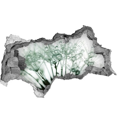 Sticker trou dans le mur Un rêve floral derrière le mur